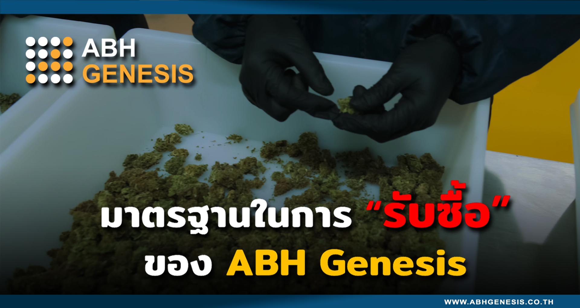 รับซื้อช่อดอก